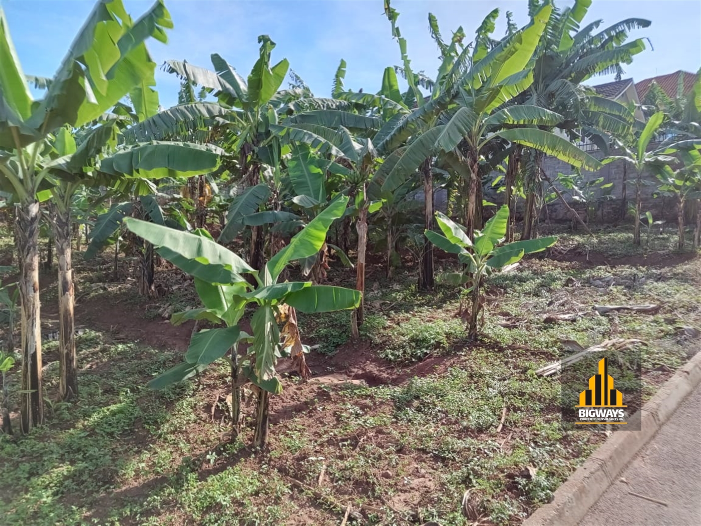 Residential Land for sale in Kyanja Kampala