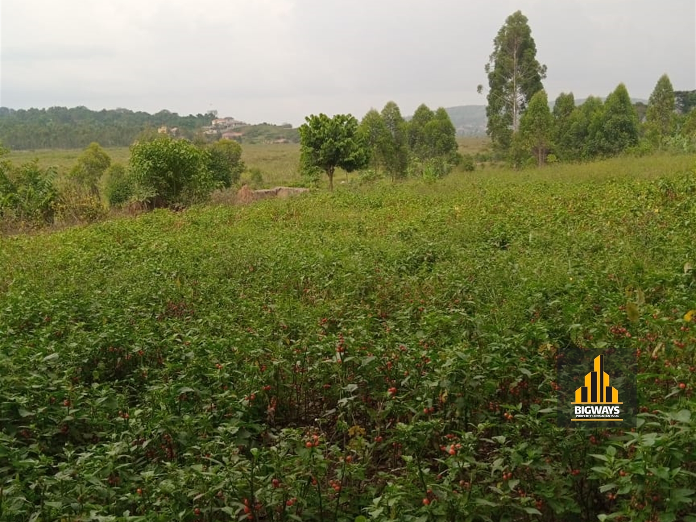 Residential Land for sale in Ssisa Wakiso