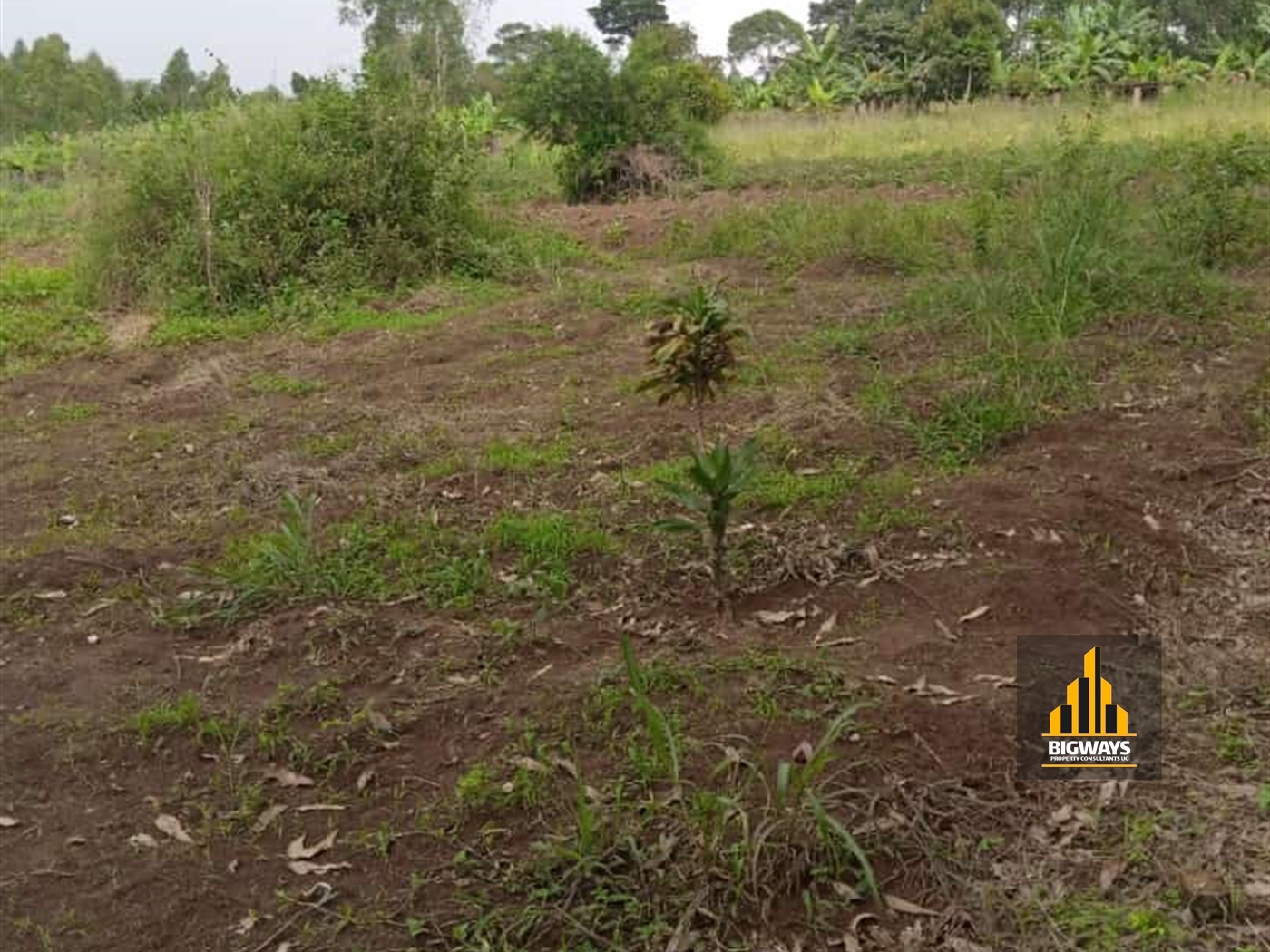 Residential Land for sale in Ssisa Wakiso