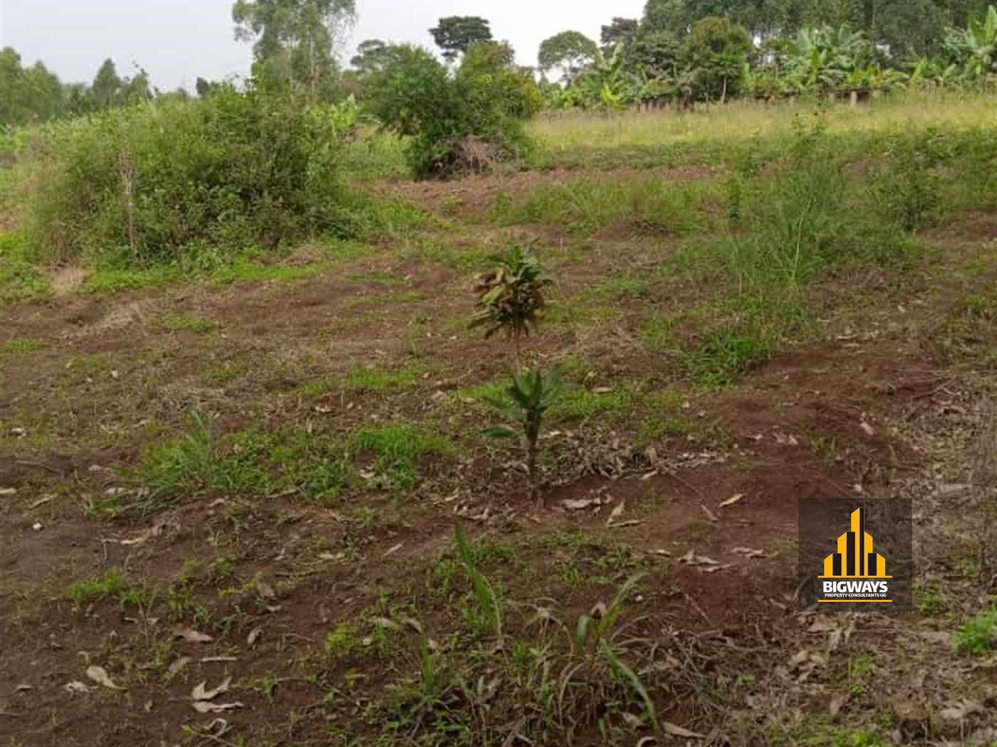 Residential Land for sale in Ssisa Wakiso