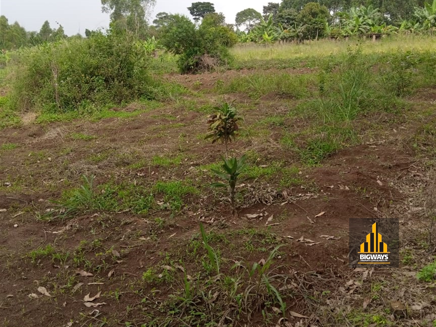 Residential Land for sale in Ssisa Wakiso