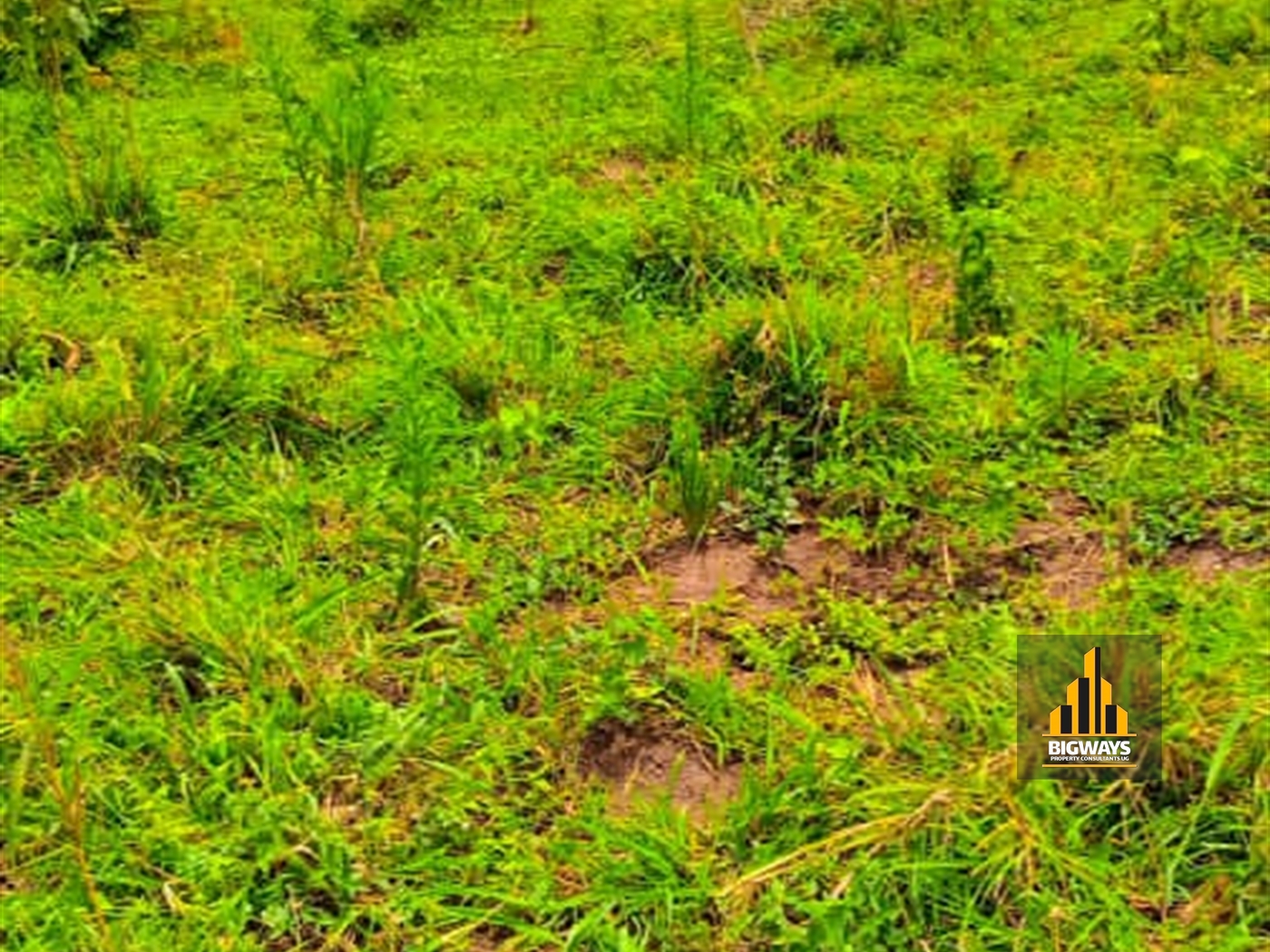 Agricultural Land for sale in Kapeeka Luweero