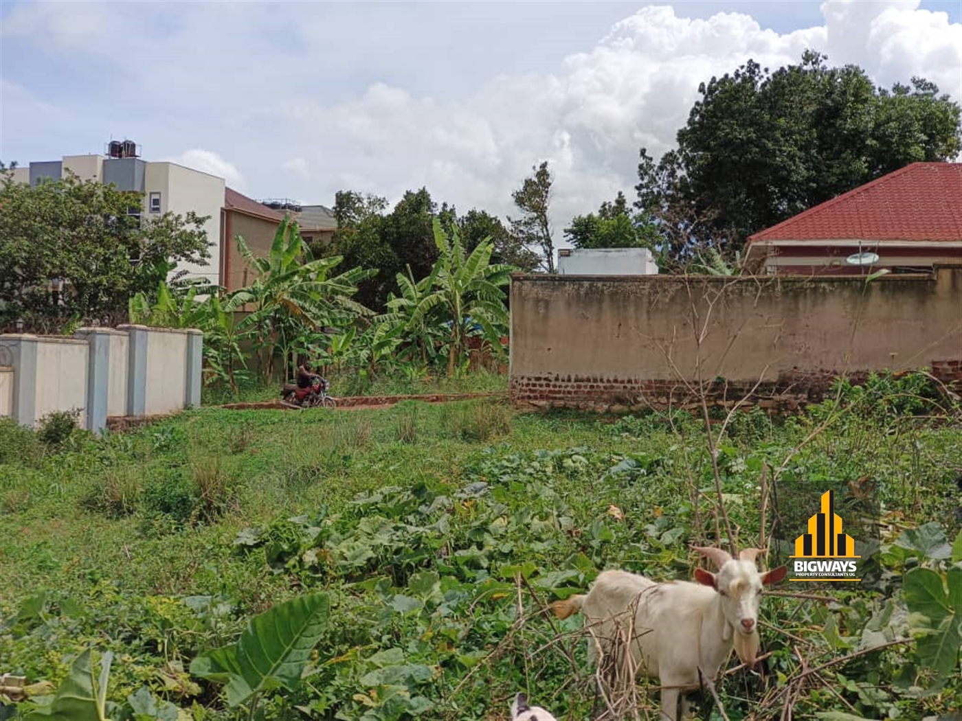 Residential Land for sale in Najjera Kampala