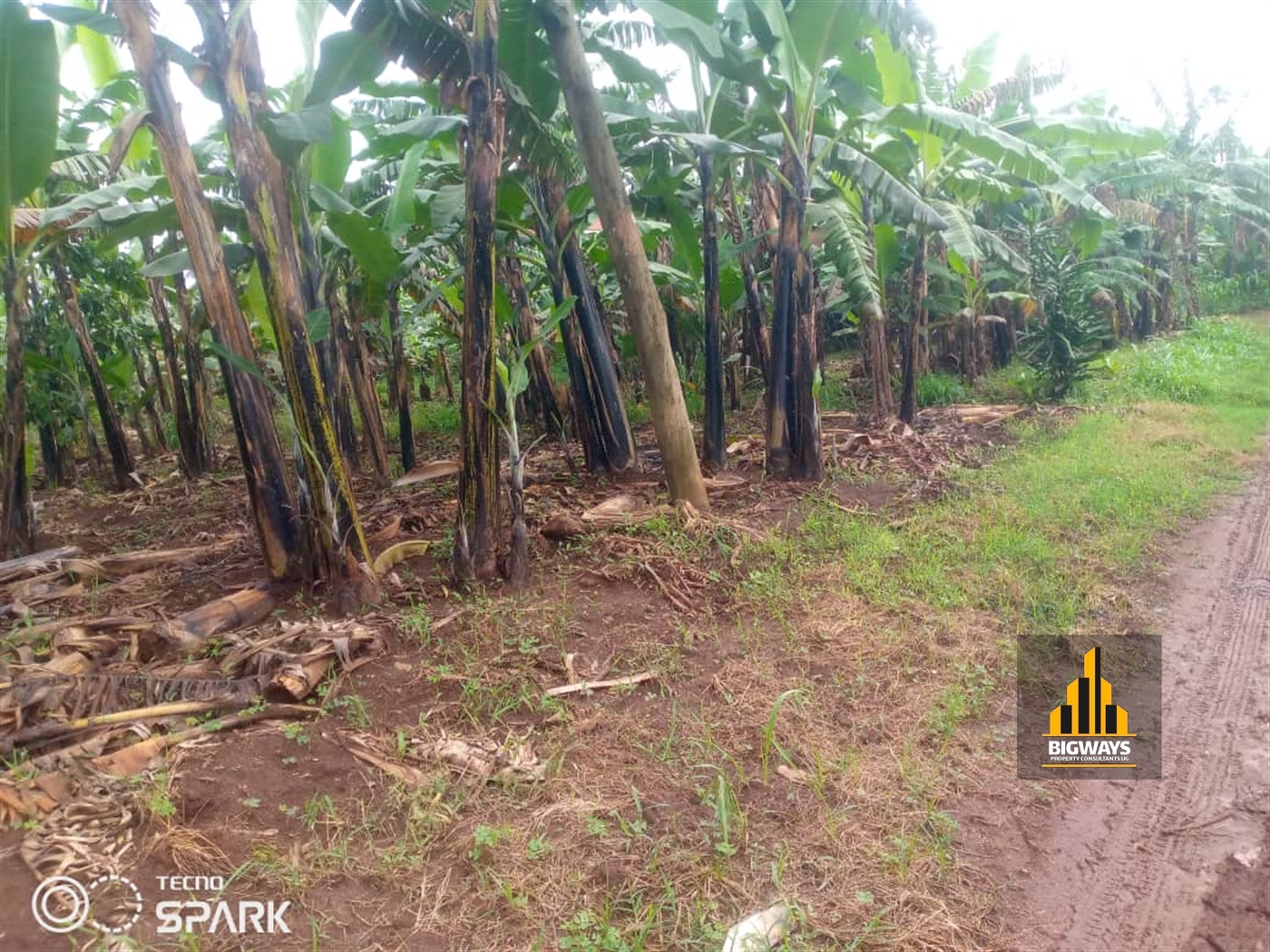 Residential Land for sale in Kitukutwe Wakiso