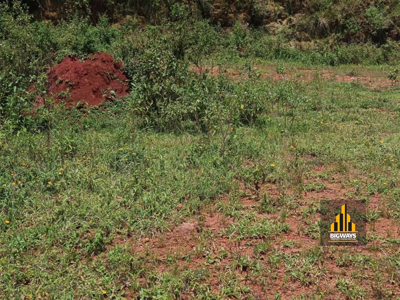 Residential Land for sale in Bwebajja Wakiso