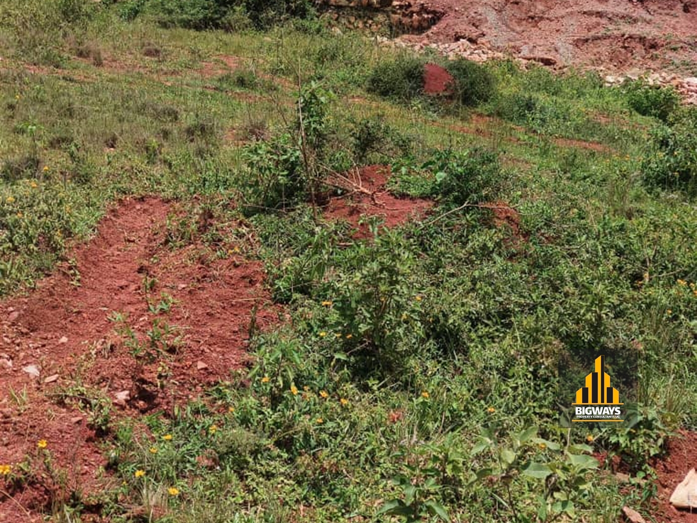 Residential Land for sale in Bwebajja Wakiso