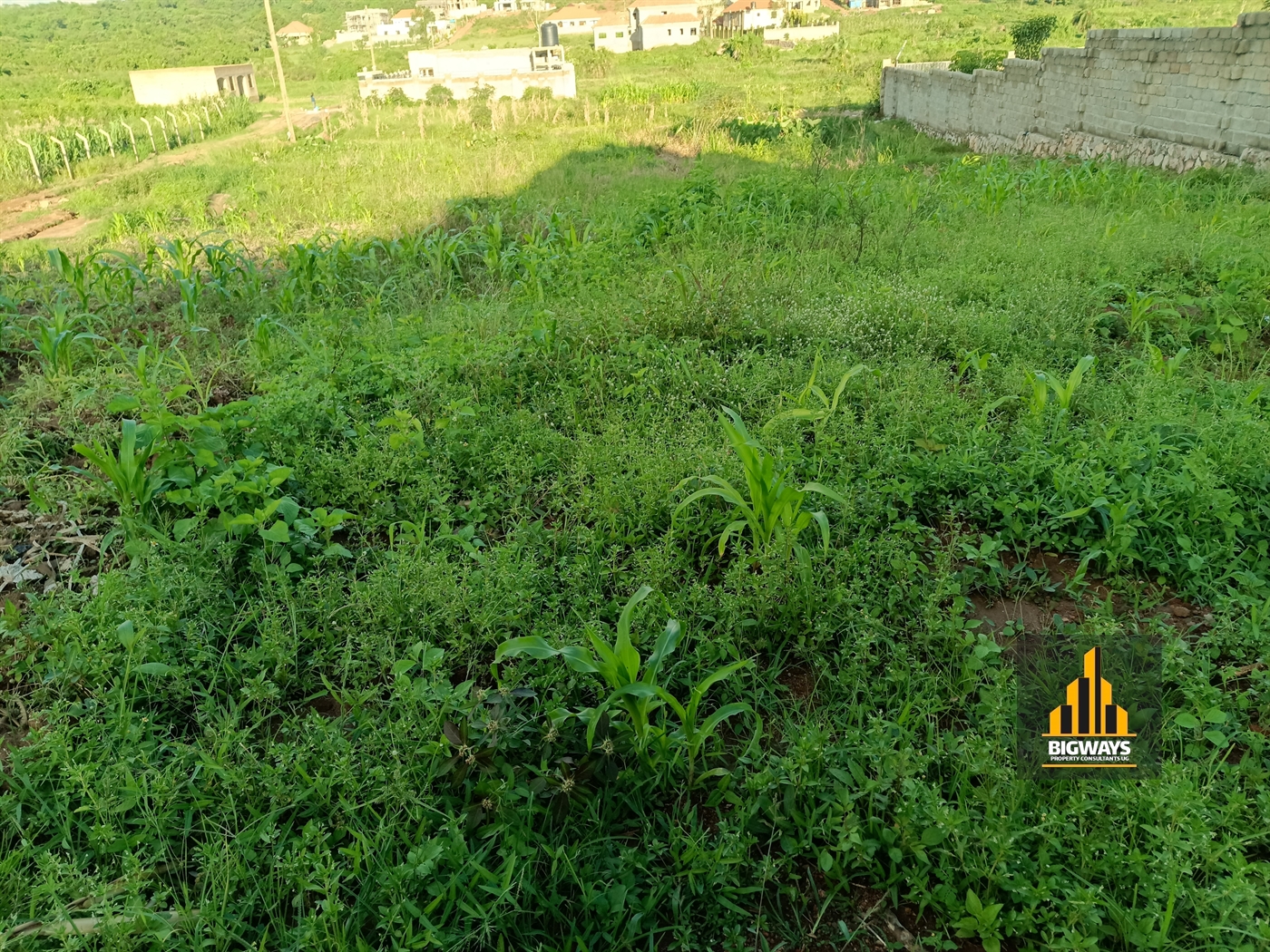 Residential Land for sale in Kira Wakiso