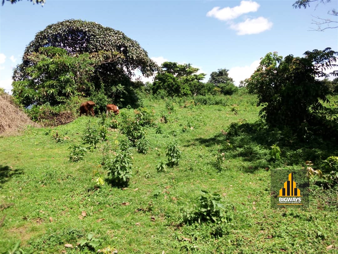 Residential Land for sale in Nangoombe Wakiso