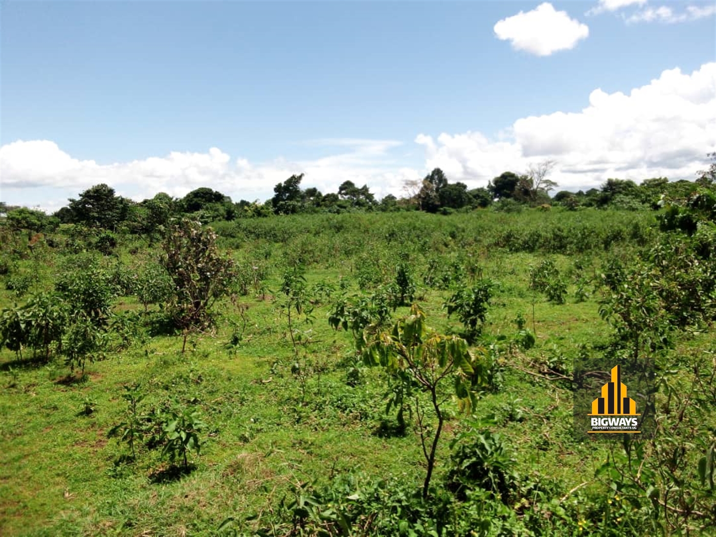 Residential Land for sale in Nangoombe Wakiso