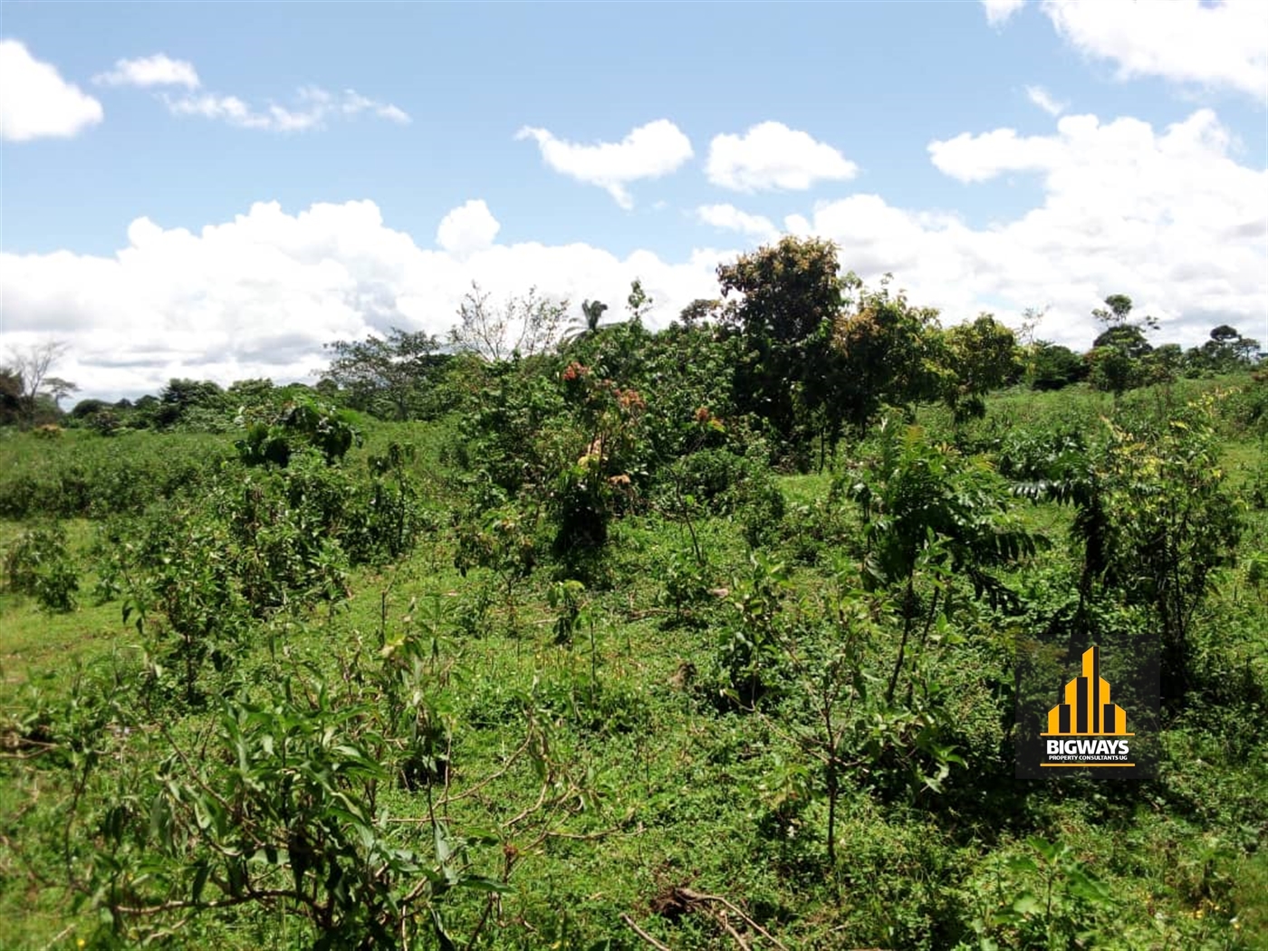 Residential Land for sale in Nangoombe Wakiso