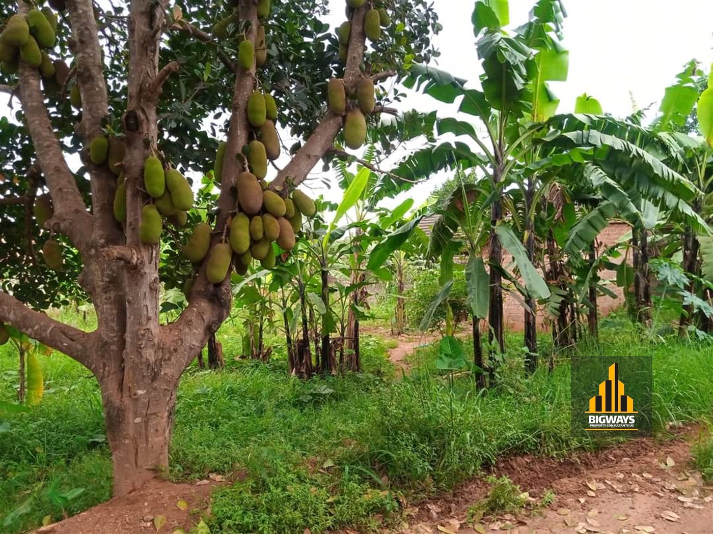 Residential Land for sale in Kira Wakiso