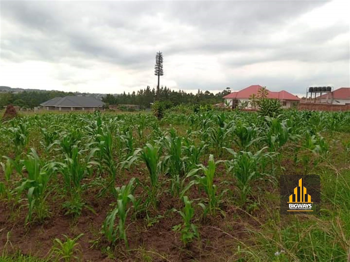 Residential Land for sale in Kira Wakiso