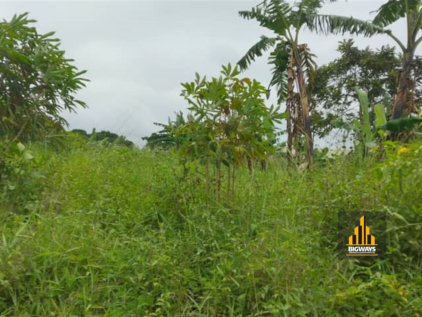 Commercial Land for sale in Seeta Wakiso