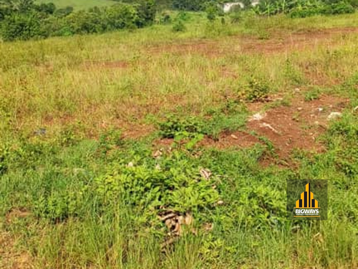 Commercial Land for sale in Gayaza Wakiso