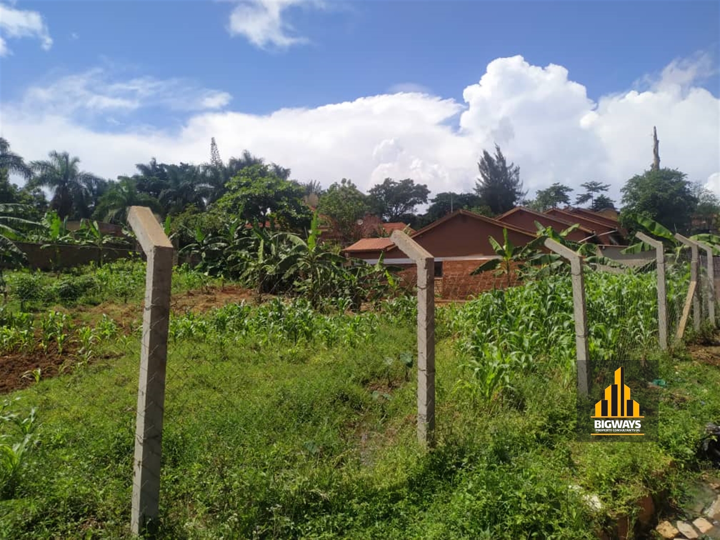 Residential Land for sale in Ntinda Kampala