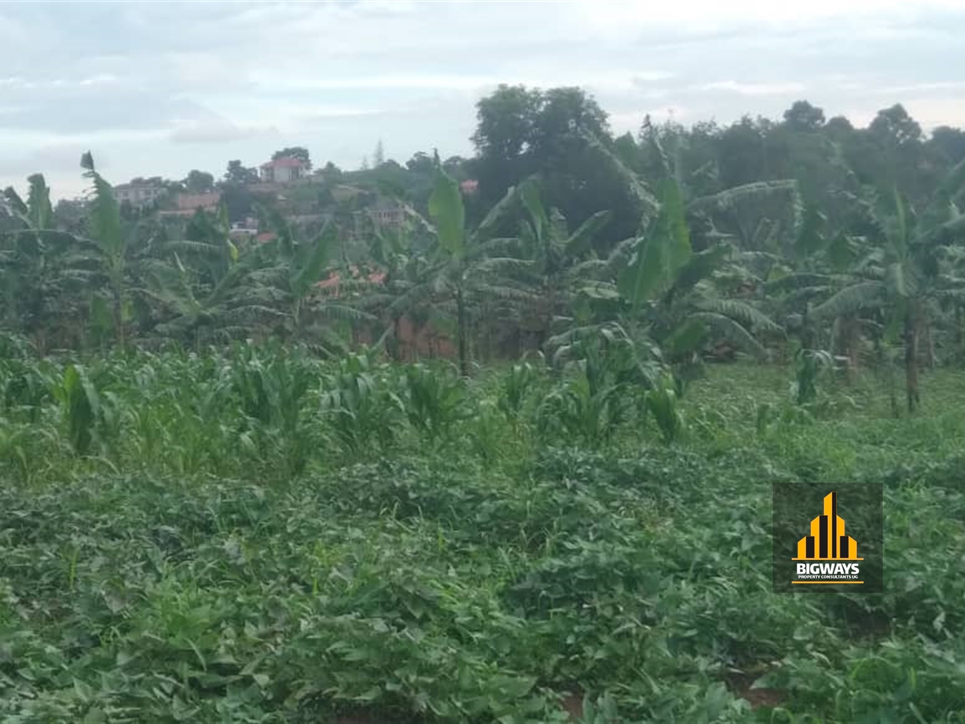 Residential Land for sale in Kira Wakiso