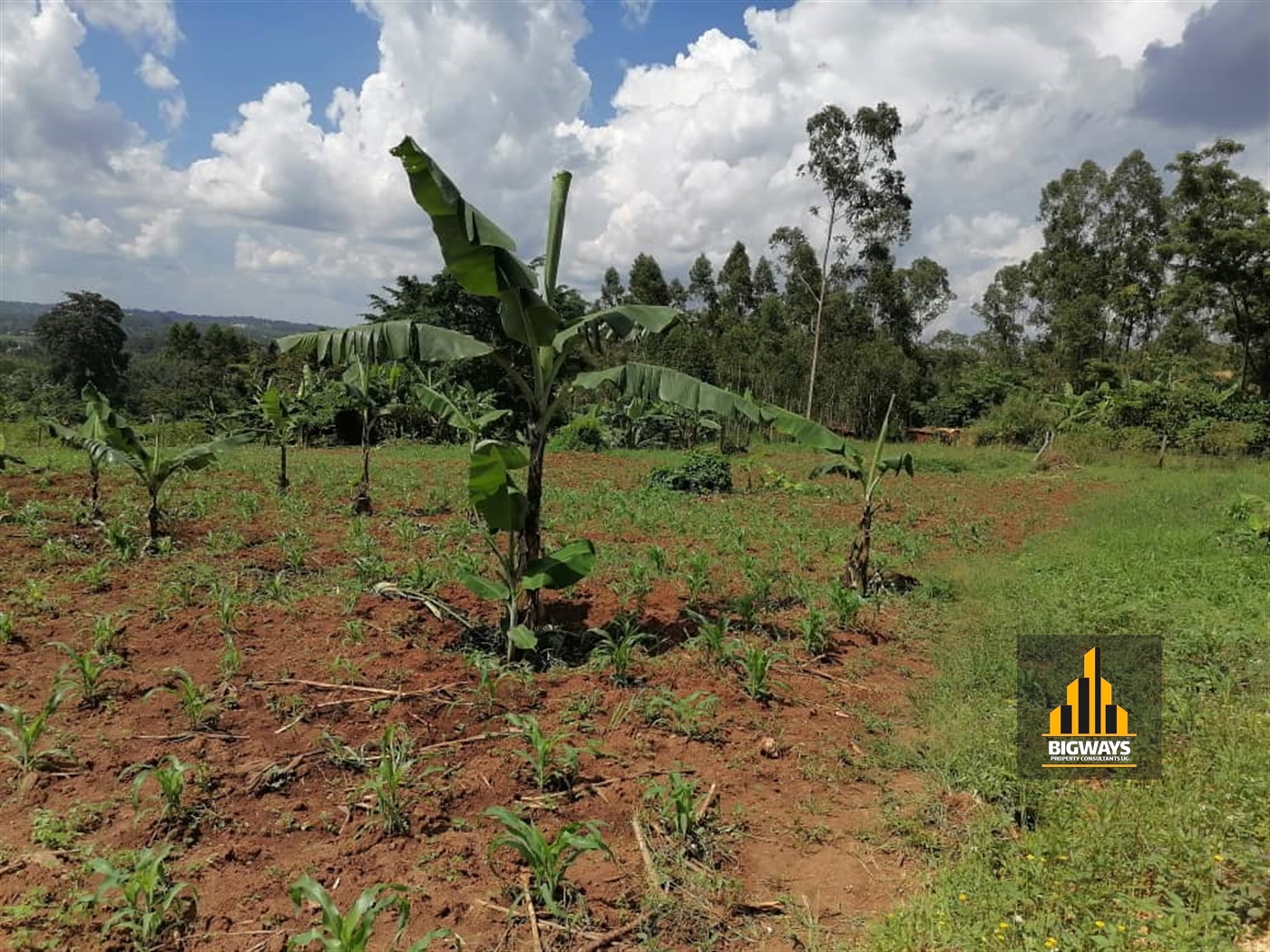 Residential Land for sale in Namasiga Wakiso