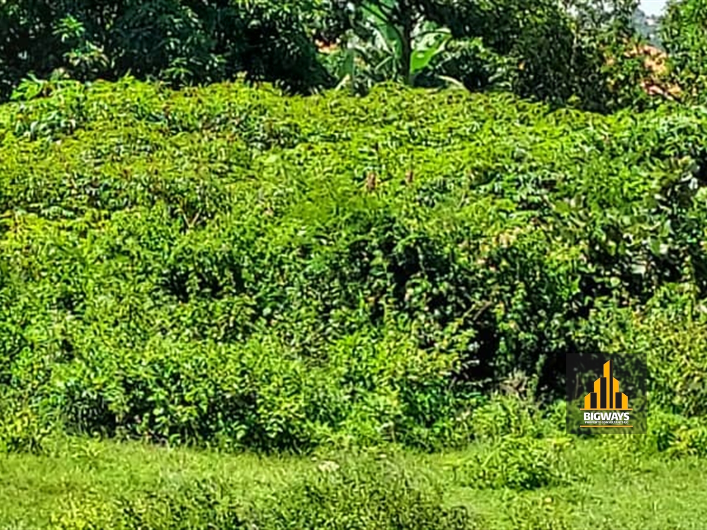 Residential Land for sale in Nkumba Wakiso