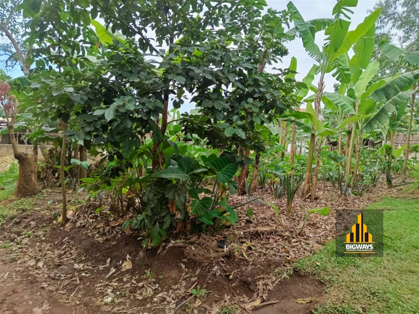 Residential Land for sale in Kyanja Kampala