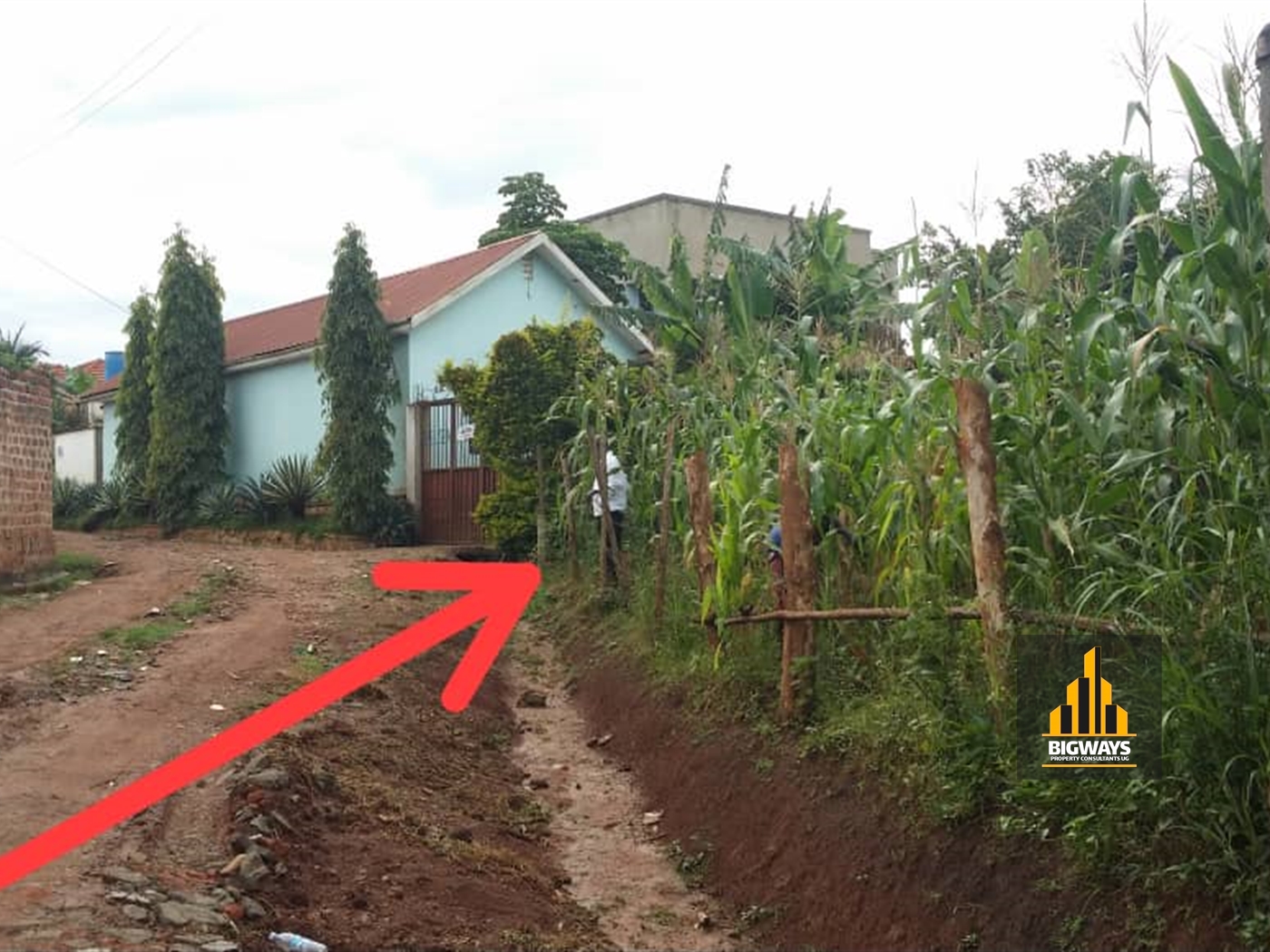 Residential Land for sale in Kitagobwa Wakiso