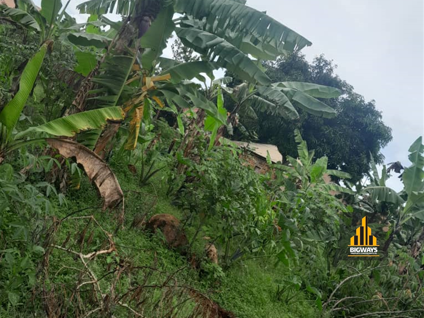 Residential Land for sale in Entebbe Wakiso