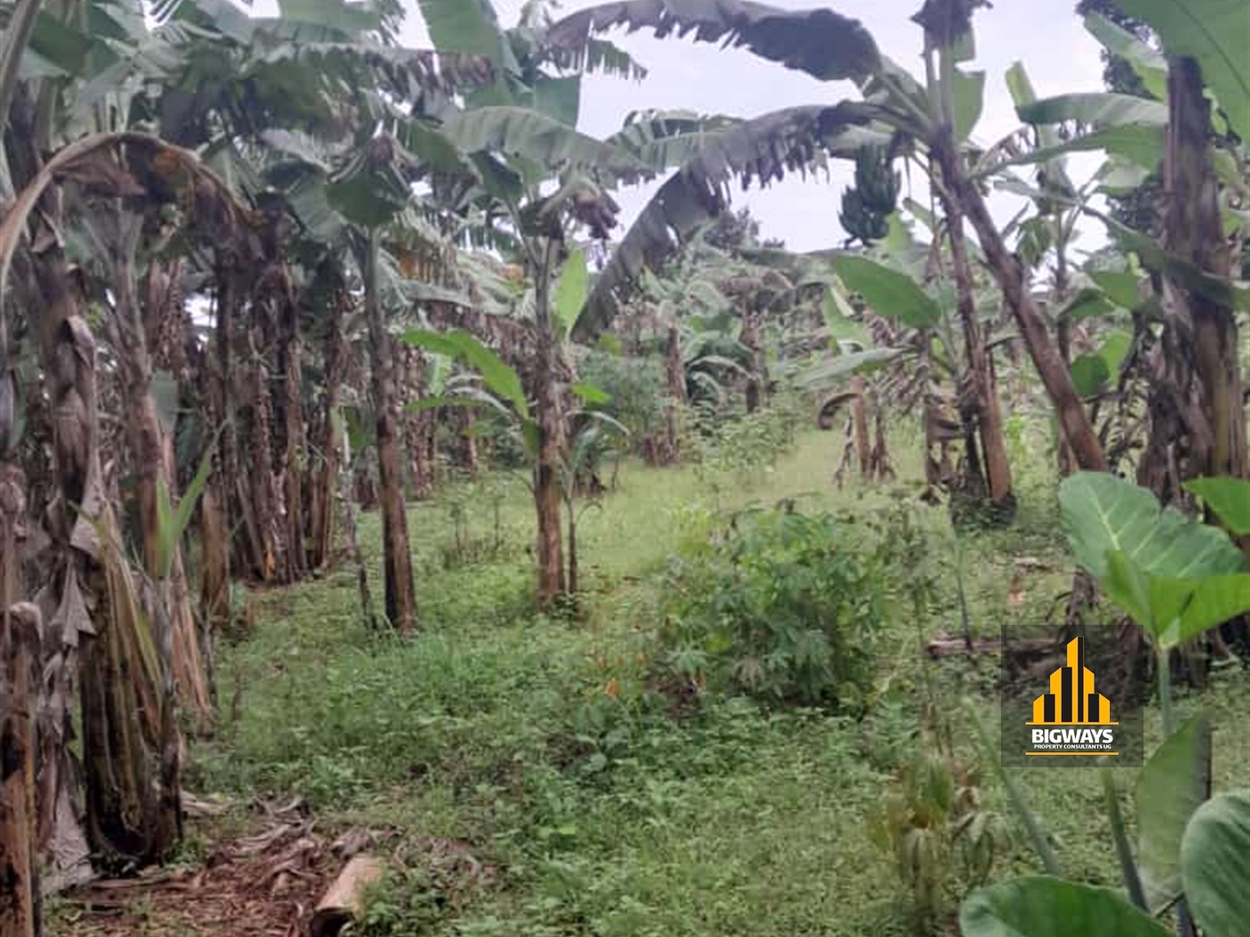 Residential Land for sale in Entebbe Wakiso