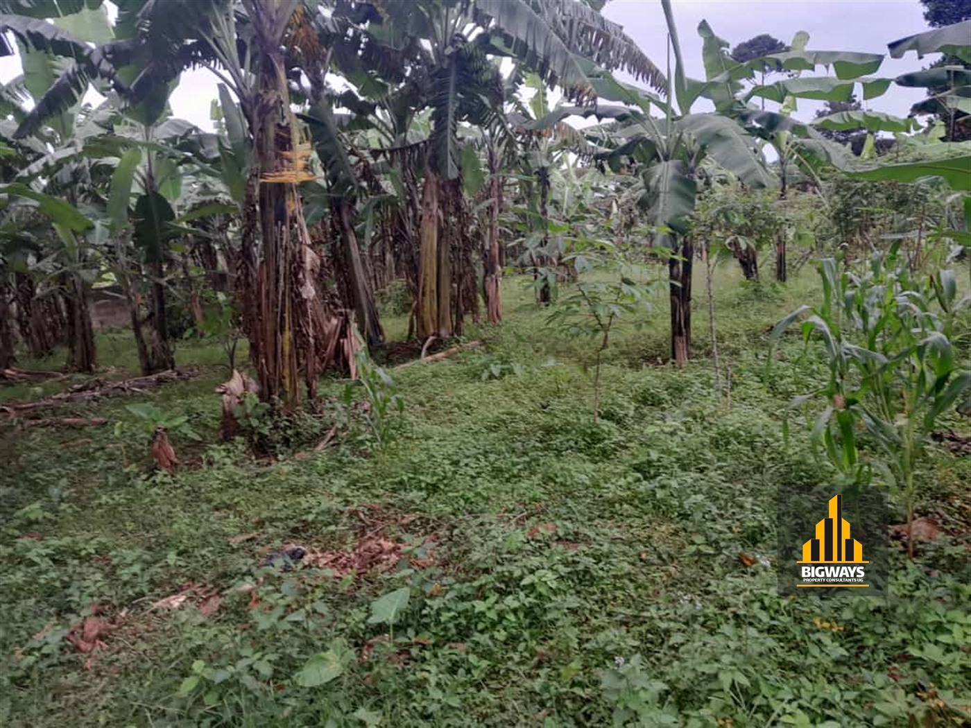 Residential Land for sale in Entebbe Wakiso