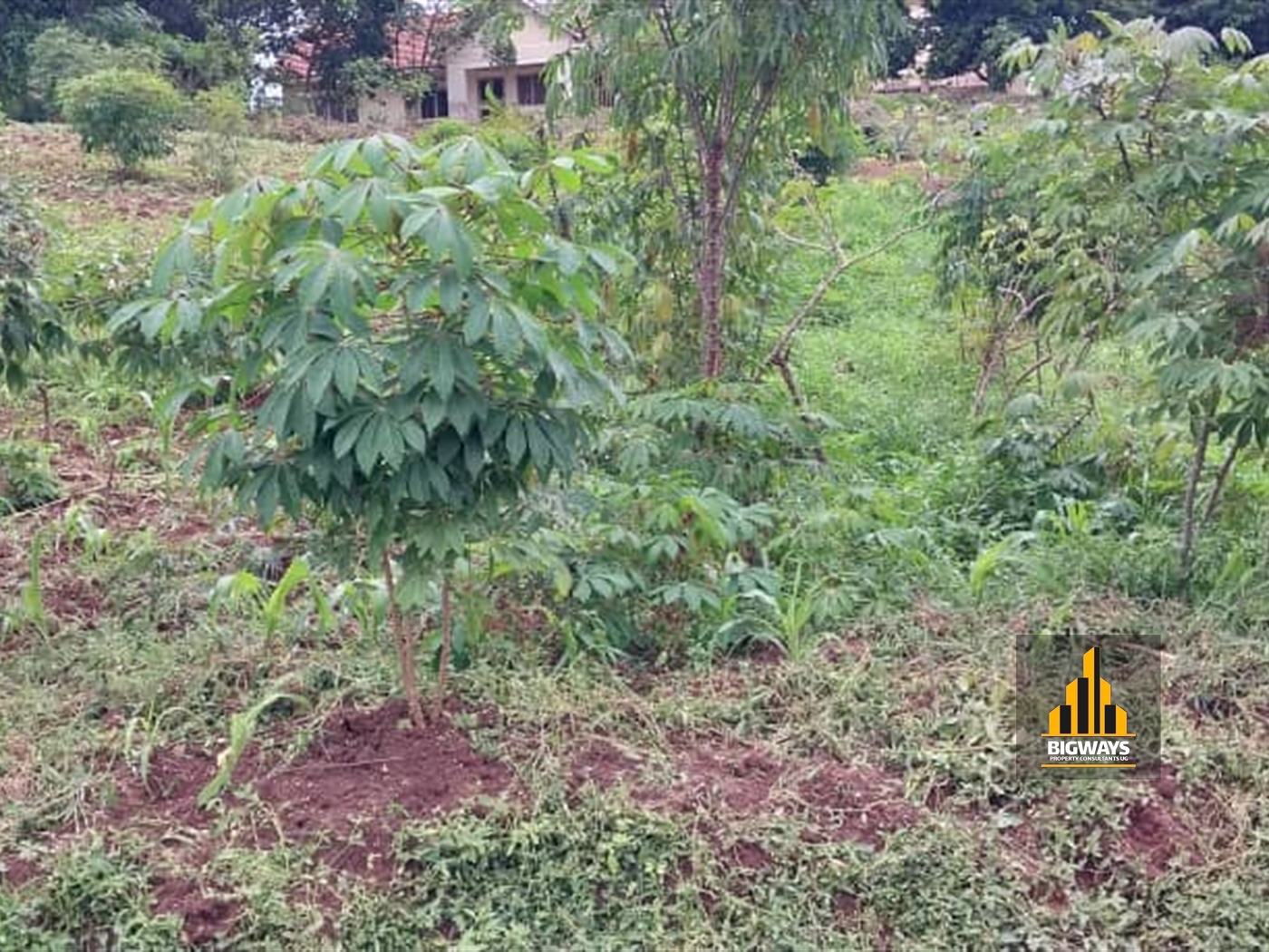 Residential Land for sale in Kyambogo Kampala