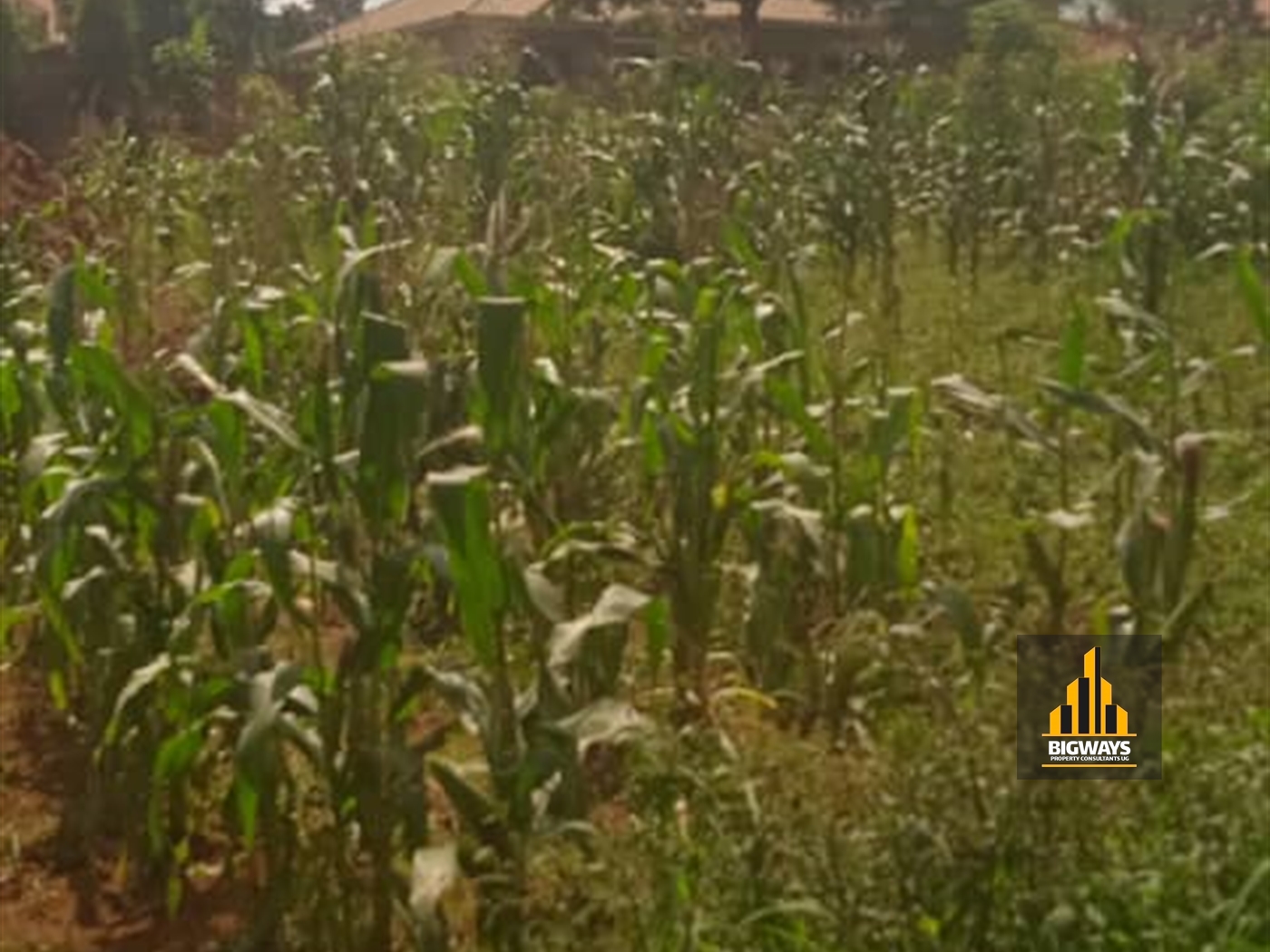 Residential Land for sale in Kavumba Wakiso