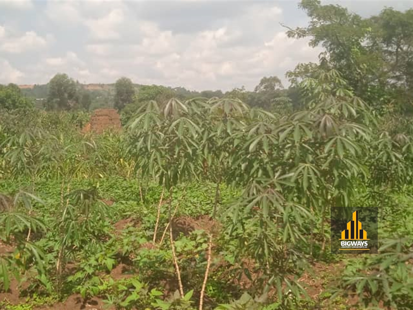 Residential Land for sale in Kavumba Wakiso