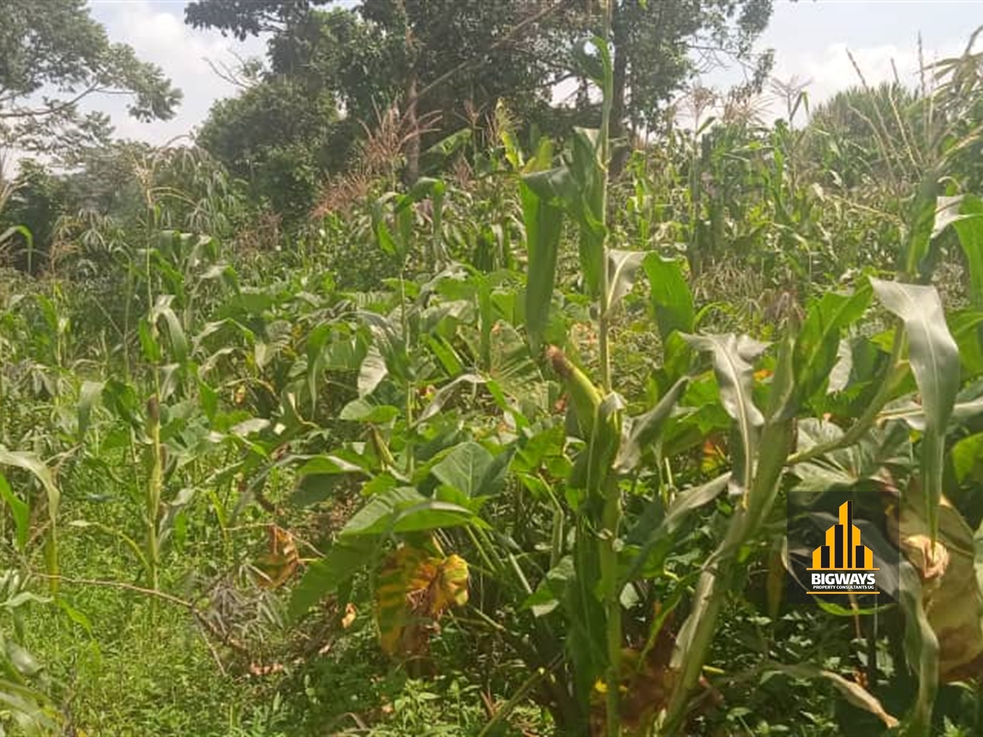 Residential Land for sale in Kavumba Wakiso