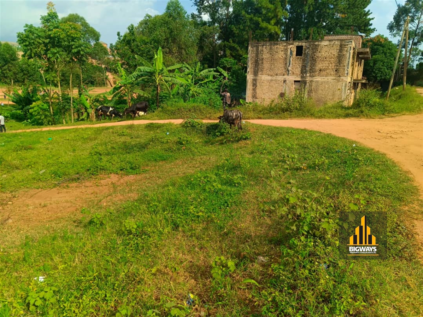 Residential Land for sale in Kyaliwajjala Wakiso