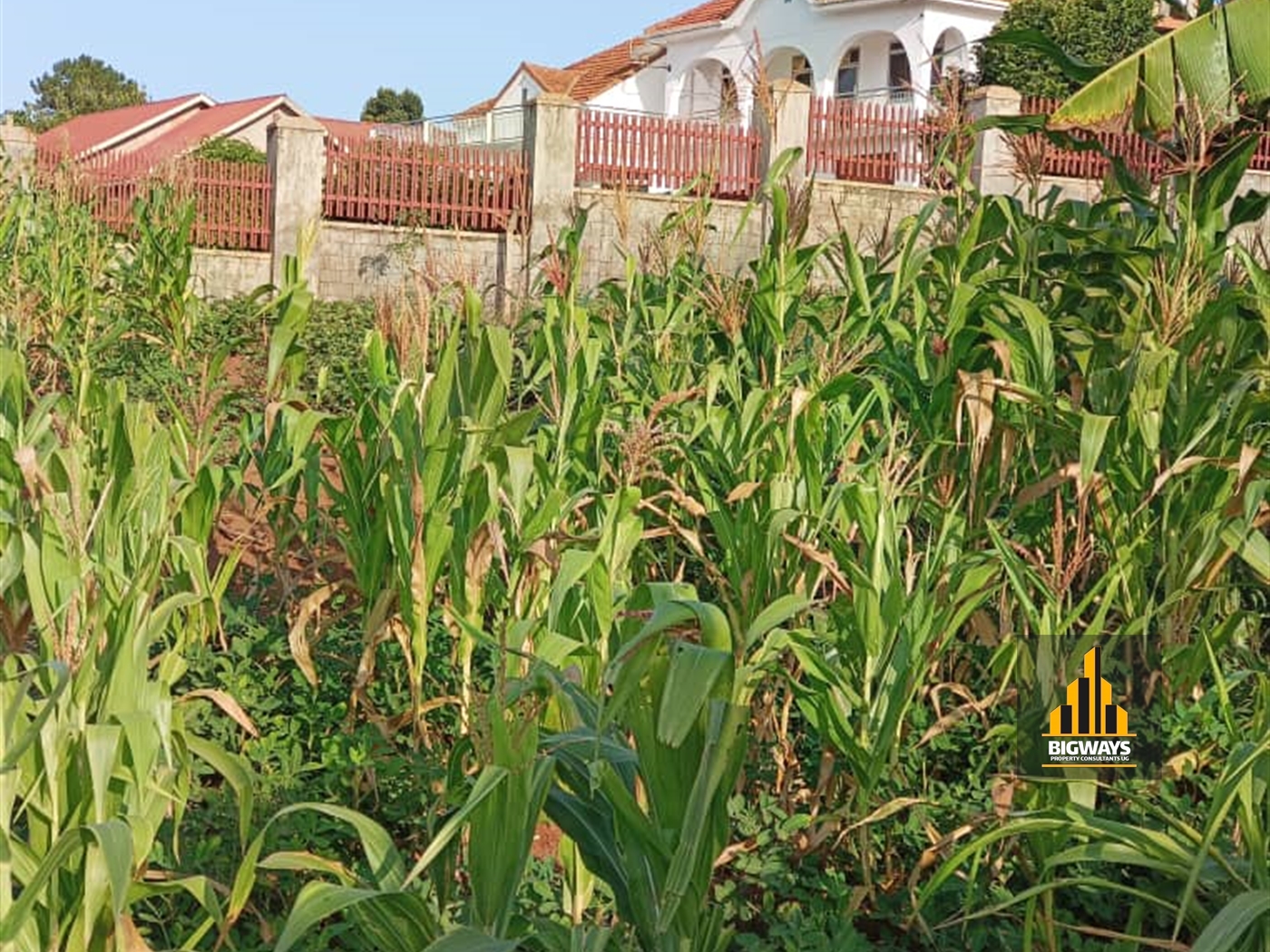 Residential Land for sale in Bwebajja Wakiso