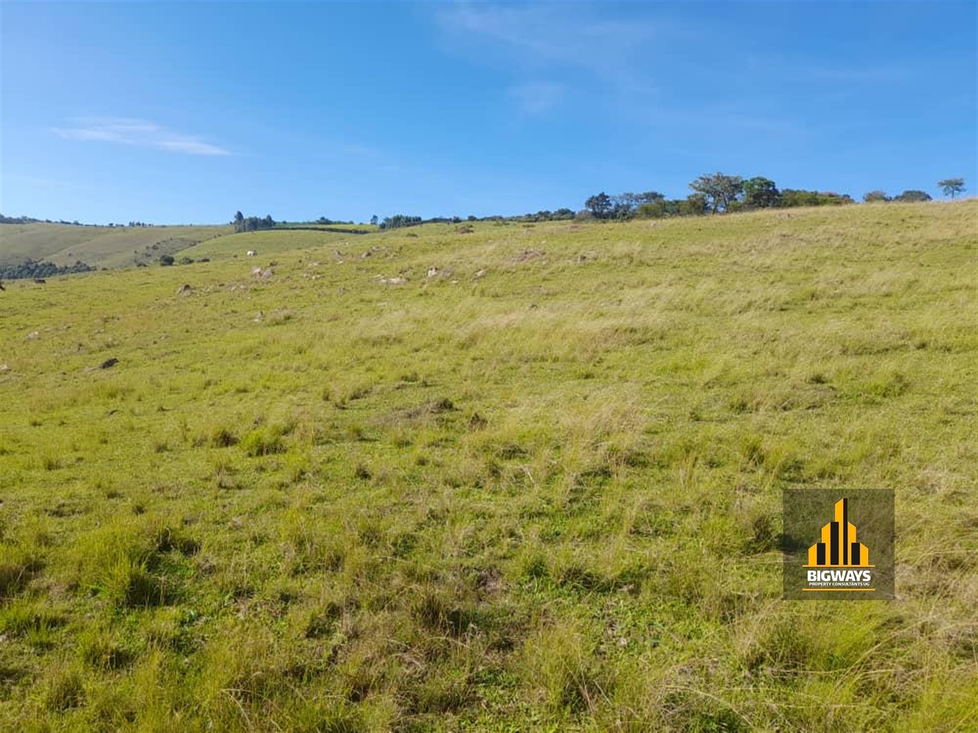 Agricultural Land for sale in Nyamukana Ntungamo