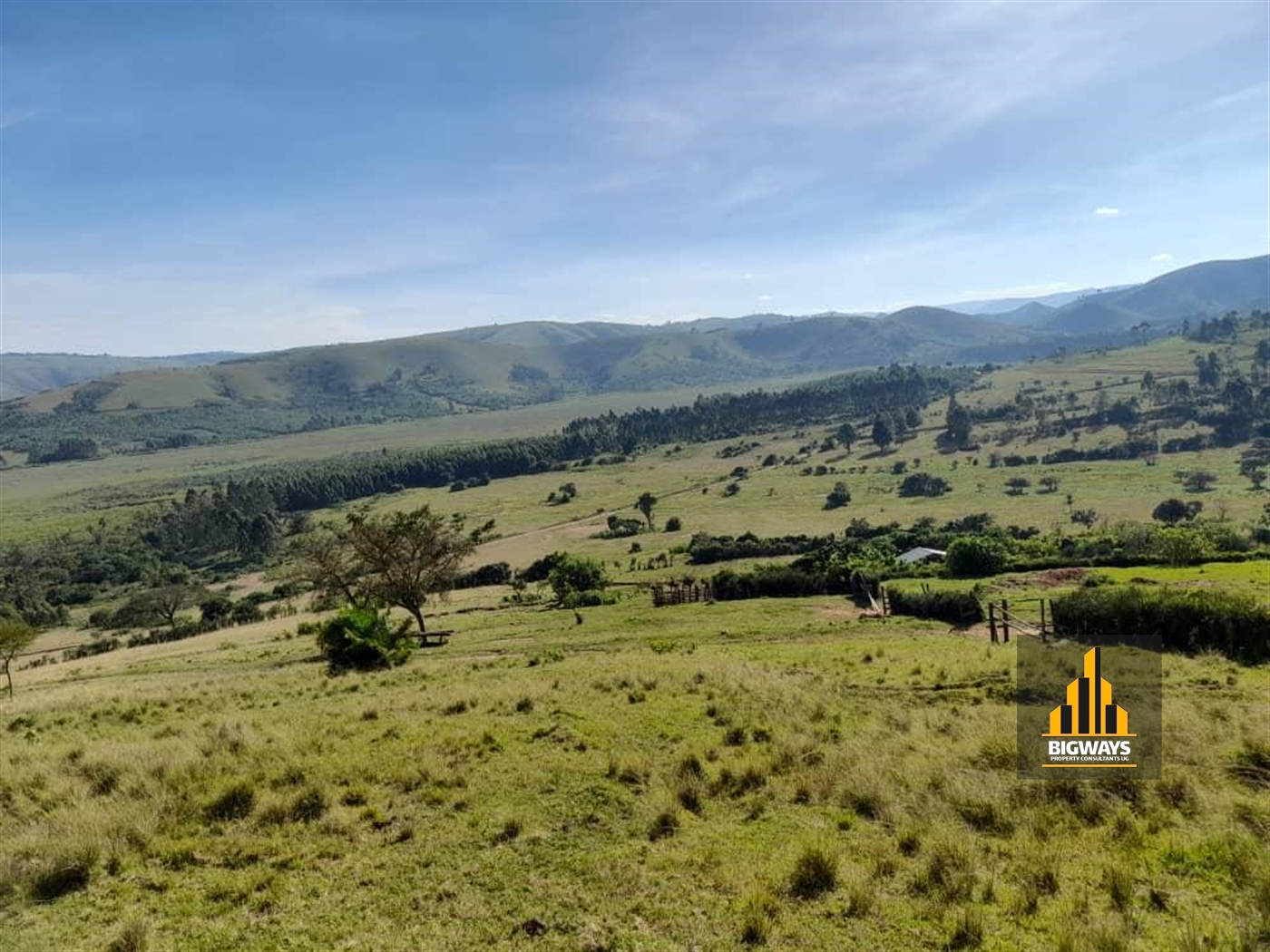 Agricultural Land for sale in Nyamukana Ntungamo