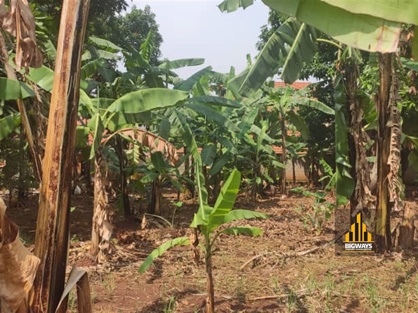 Residential Land for sale in Ntinda Kampala