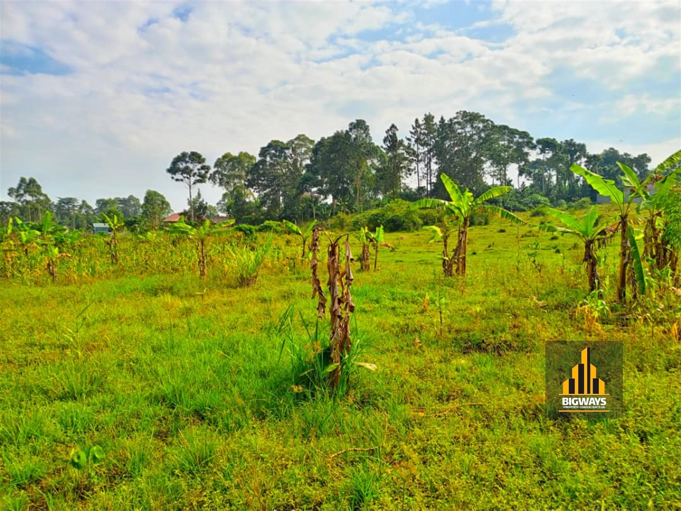 Residential Land for sale in Sonde Wakiso