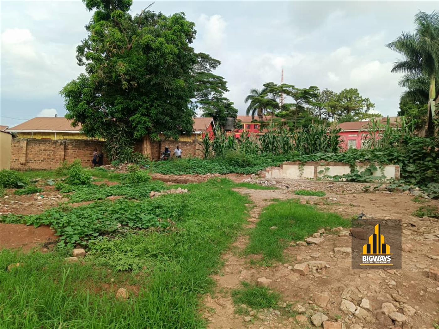 Residential Land for sale in Bukoto Kampala