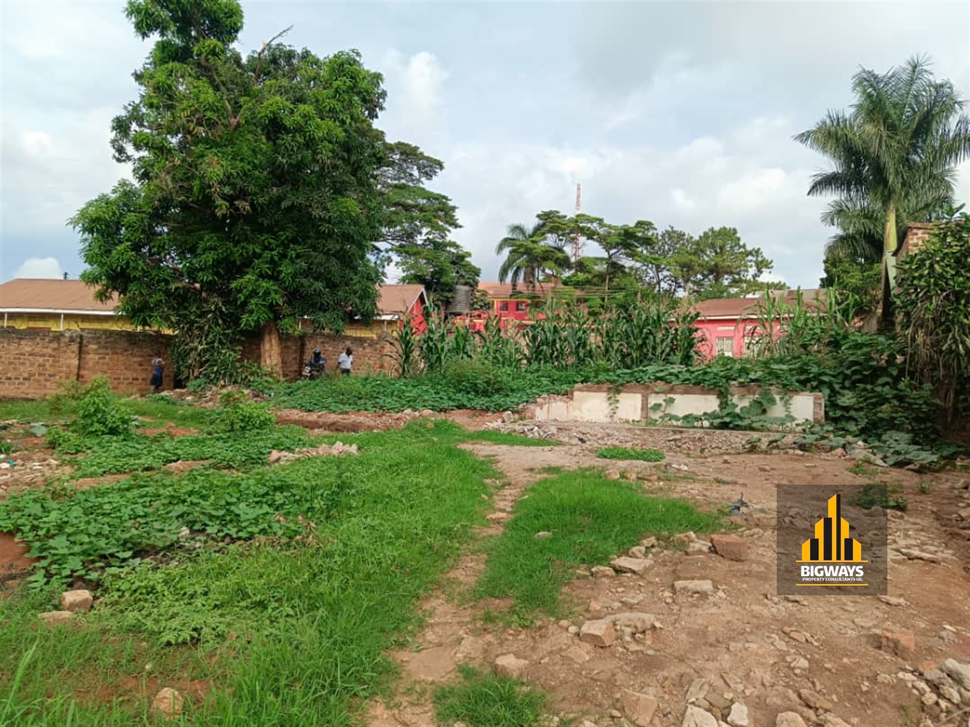 Residential Land for sale in Bukoto Kampala