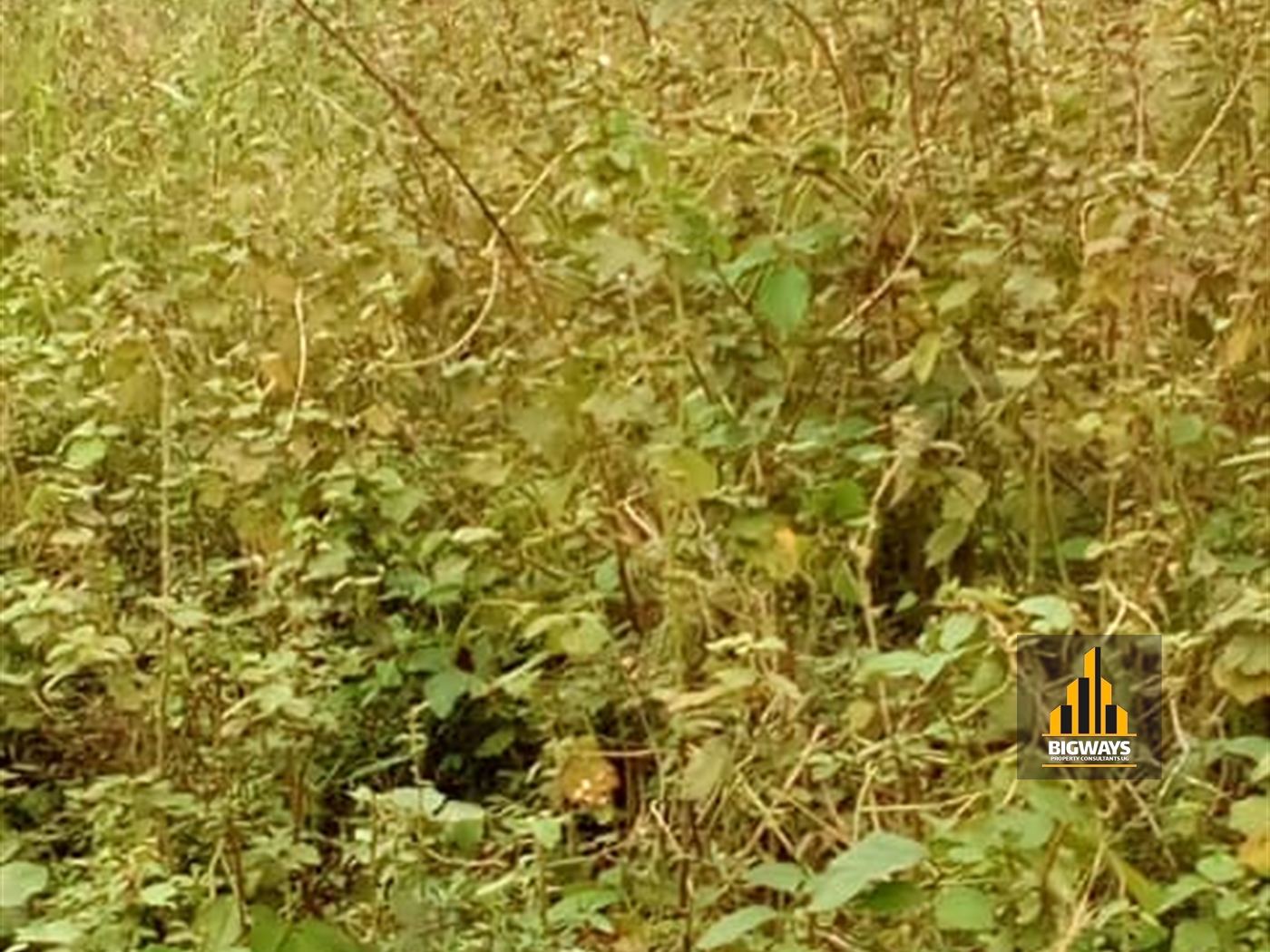 Residential Land for sale in Kigo Wakiso