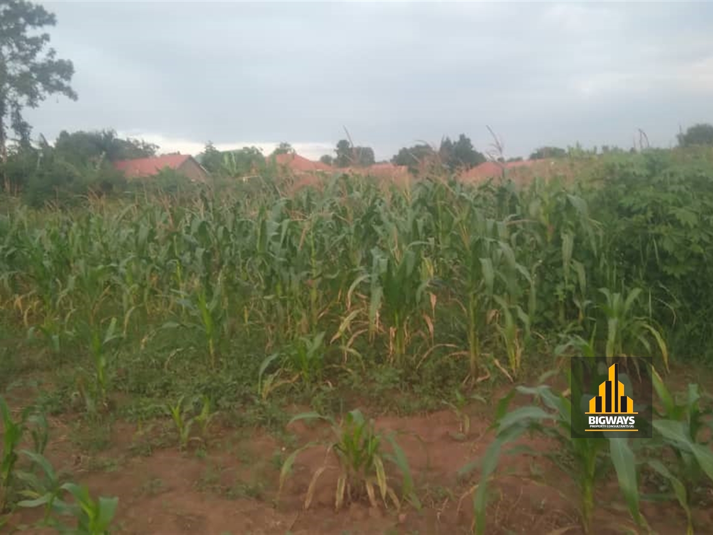 Residential Land for sale in Kiwanga Mukono