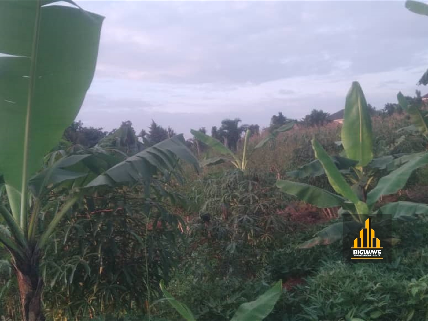 Residential Land for sale in Kiwanga Mukono