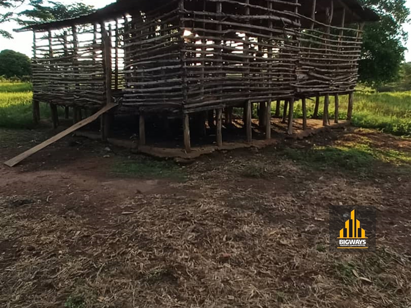 Agricultural Land for sale in Zirobwee Luweero