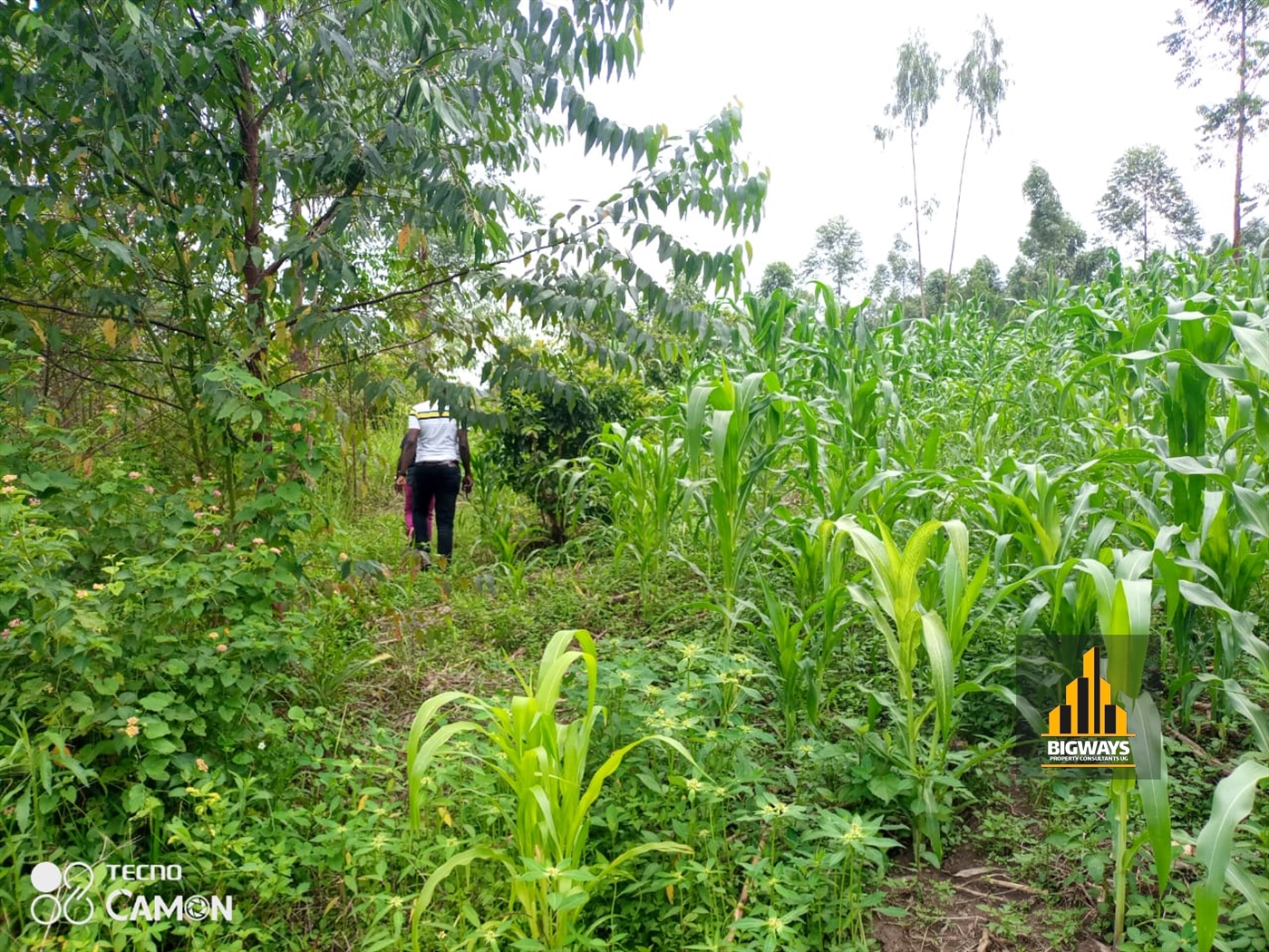 Residential Land for sale in Bukeelele Wakiso