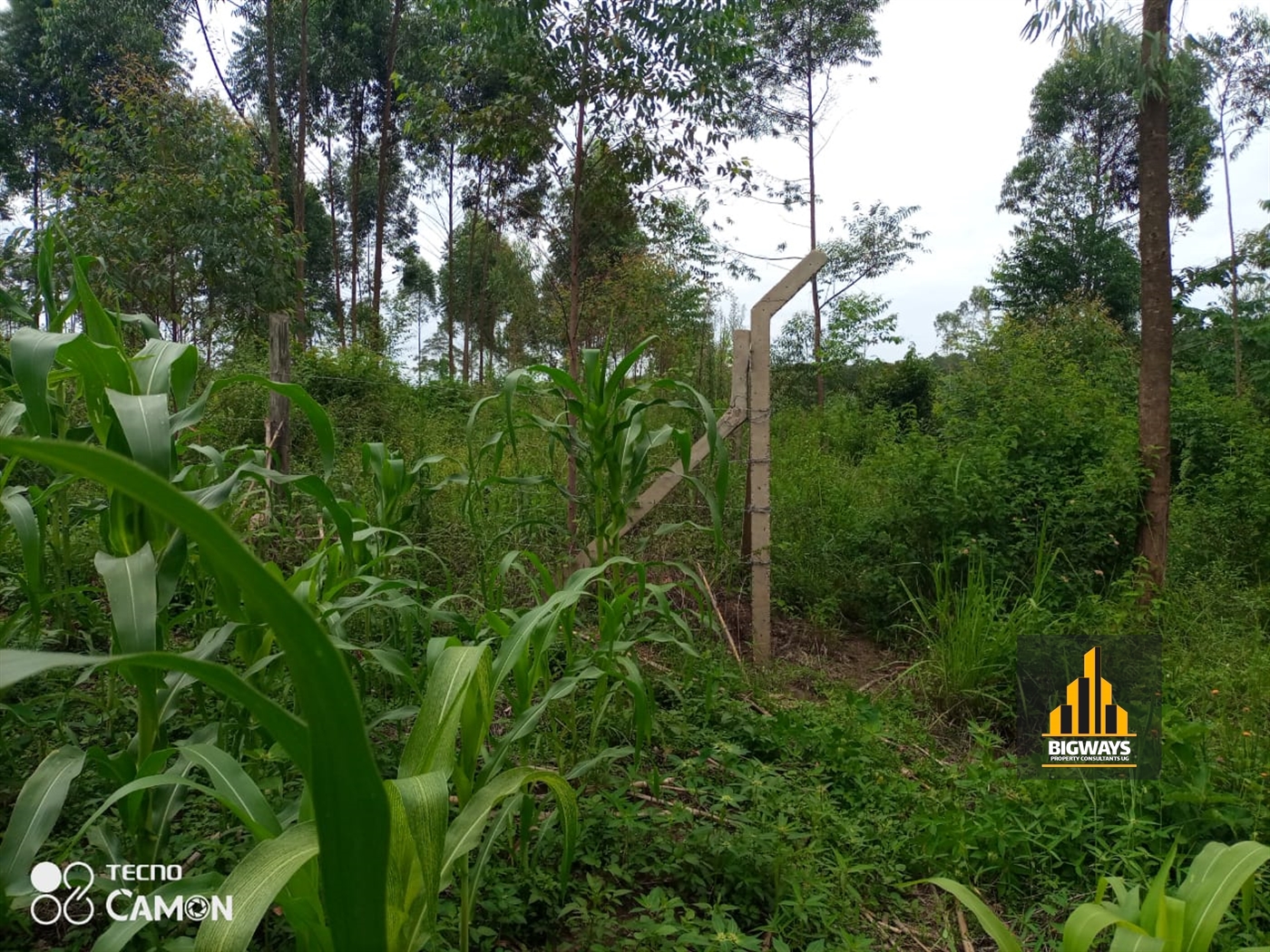 Residential Land for sale in Bukeelele Wakiso