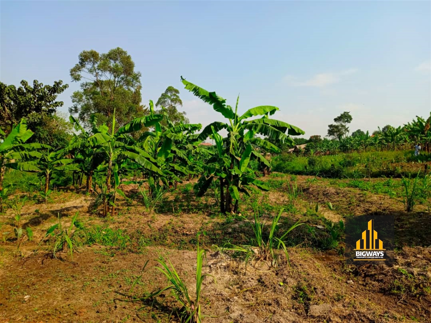 Residential Land for sale in Namugongo Wakiso