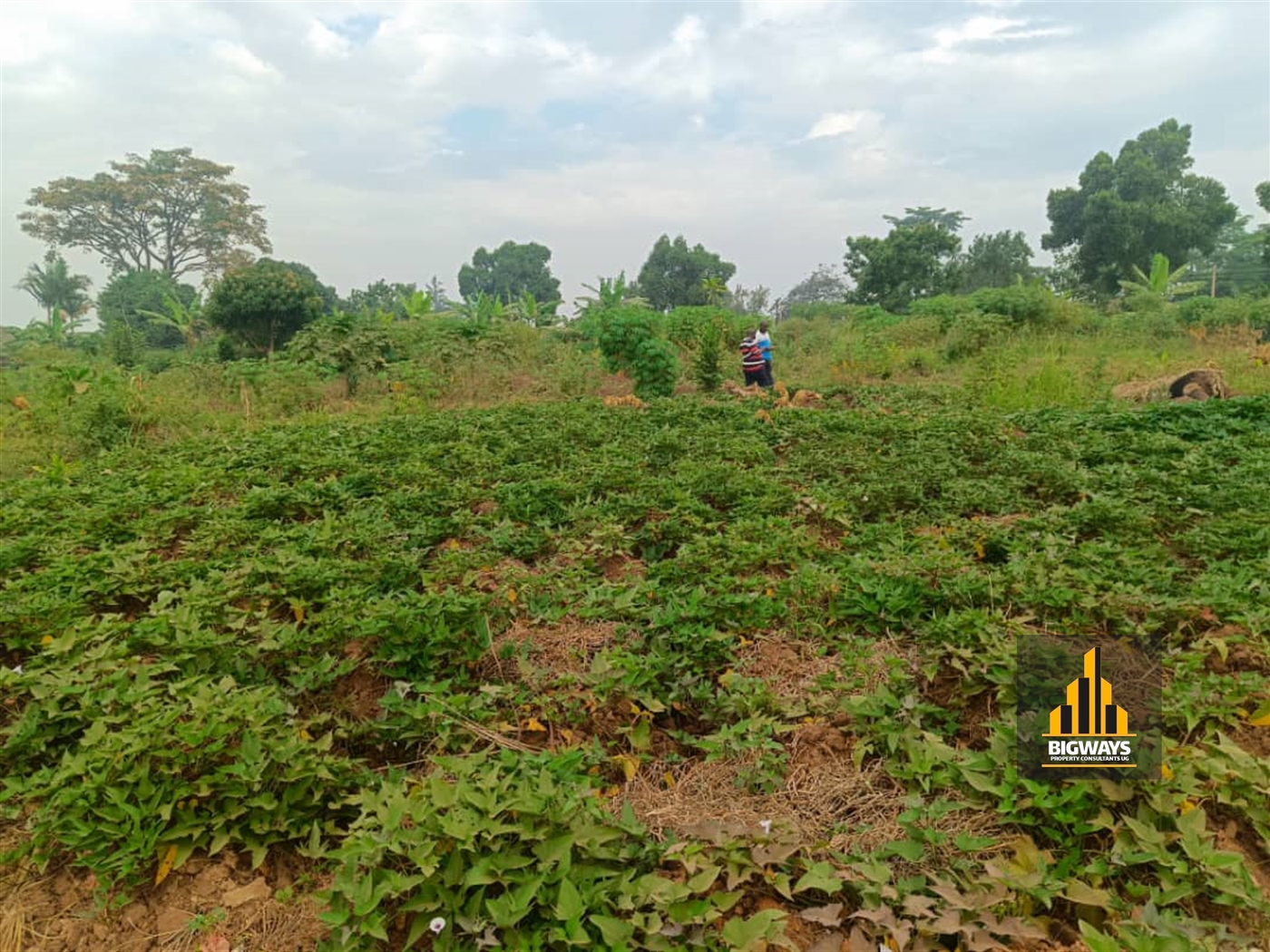 Residential Land for sale in Najjera Wakiso