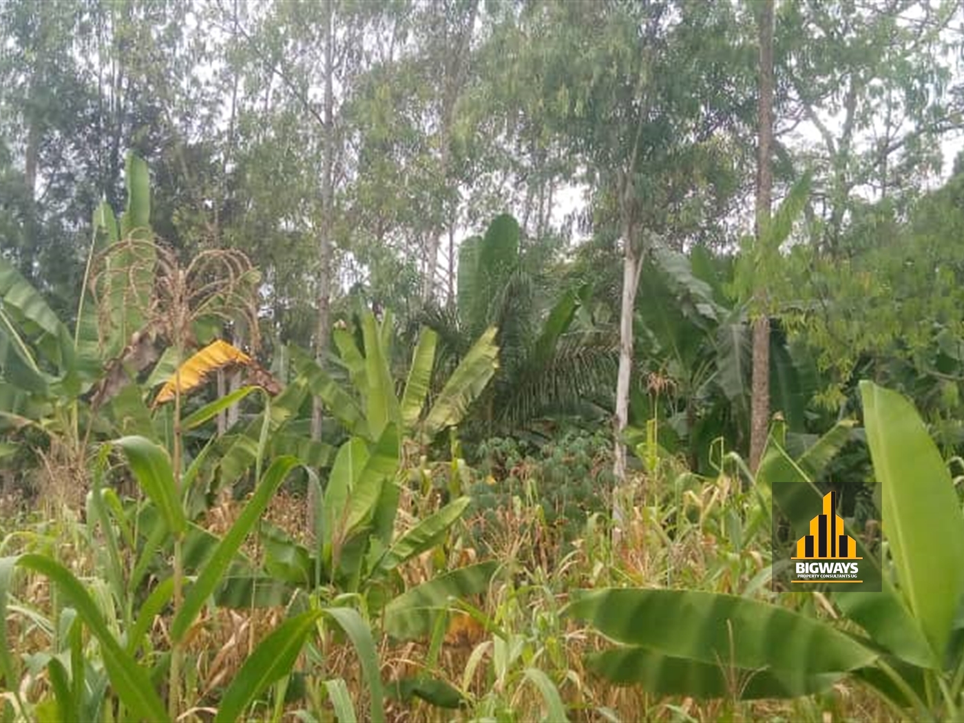 Residential Land for sale in Nakassajja Wakiso