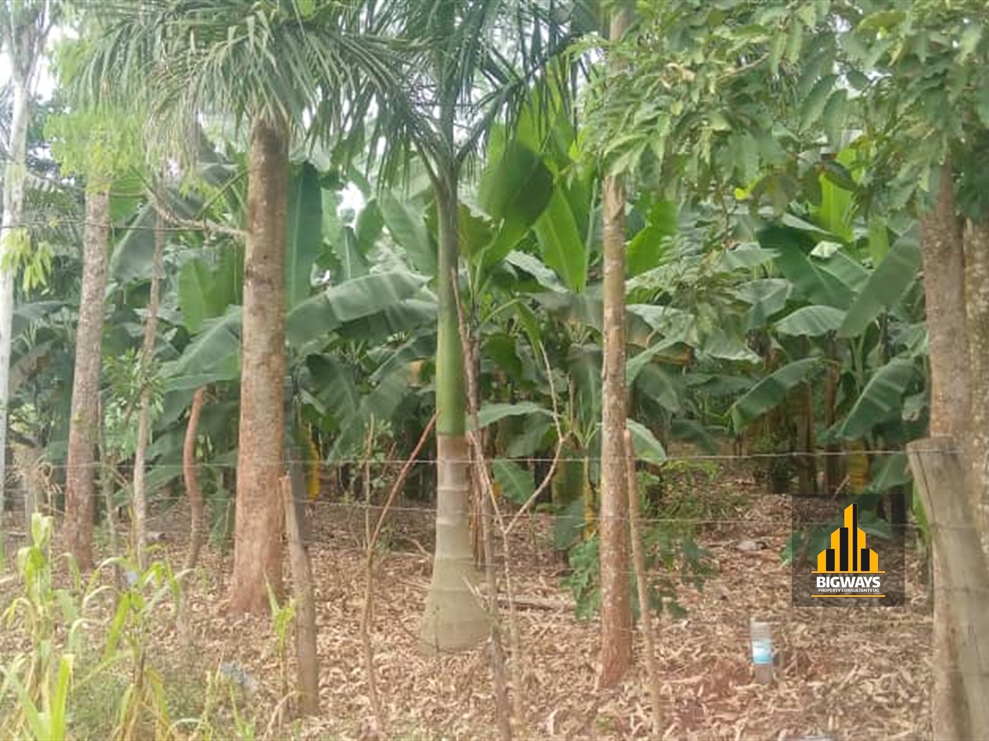 Residential Land for sale in Nakassajja Wakiso