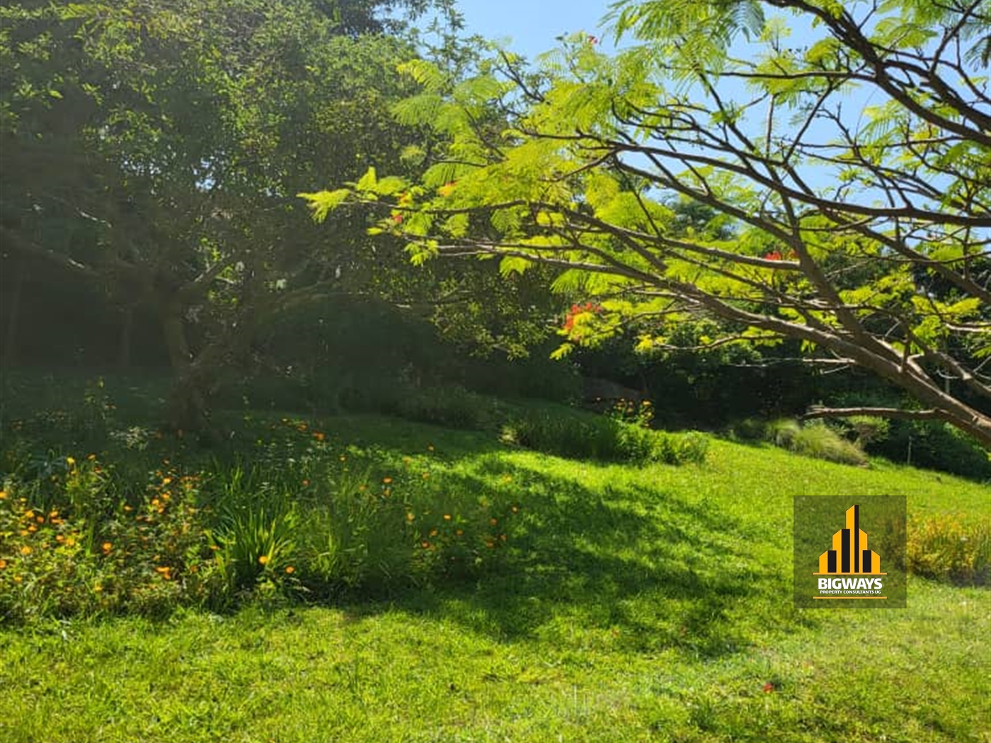 Residential Land for sale in Buziga Kampala